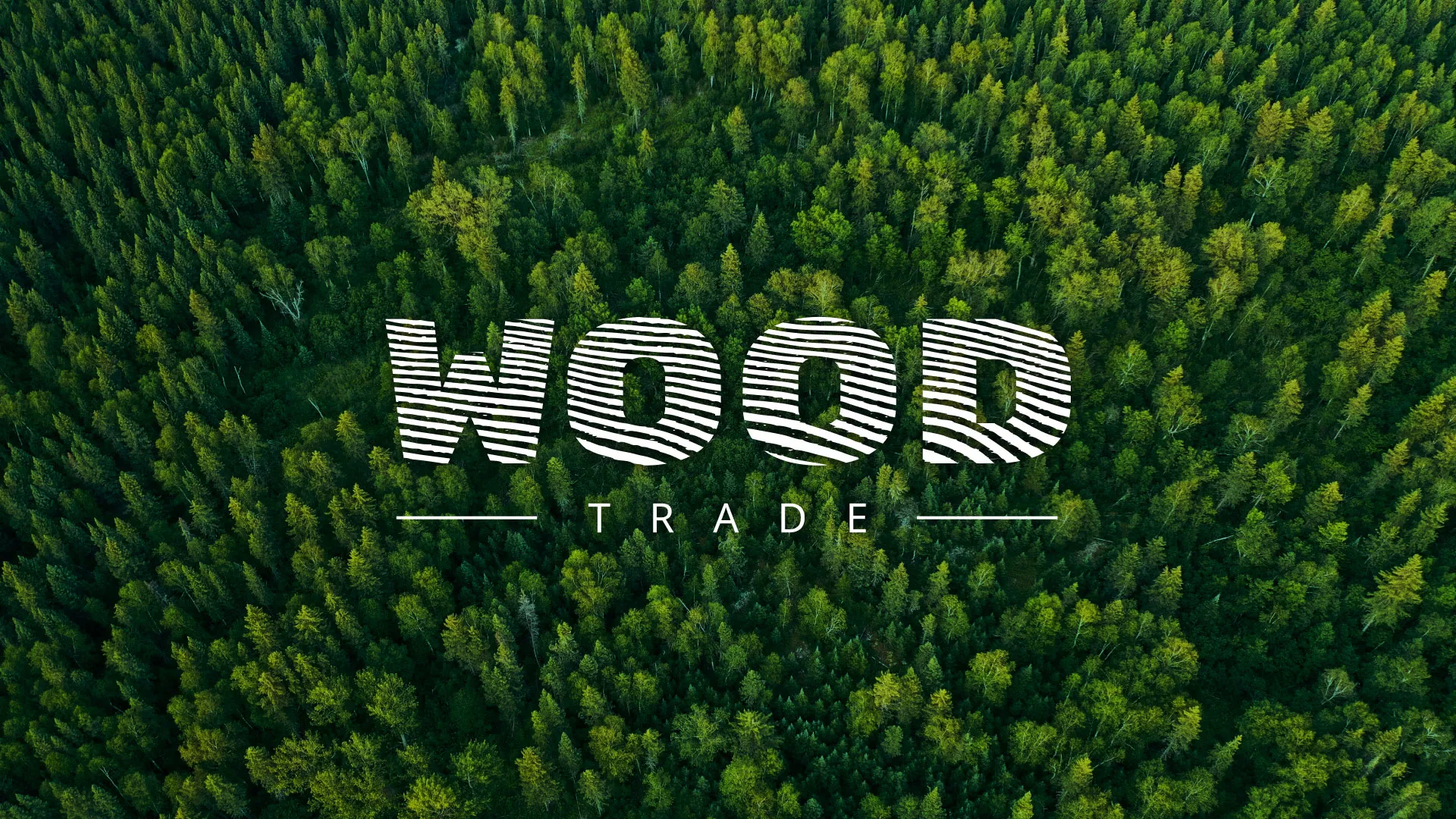 Разработка интернет-магазина компании «Wood Trade» в Мичуринске